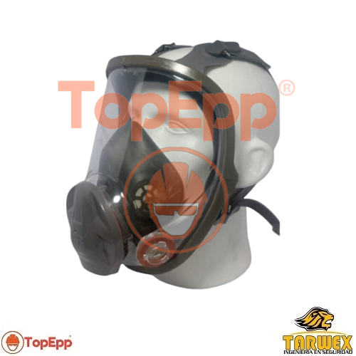 Fullface - Tarwex - TopEpp S.A.C..